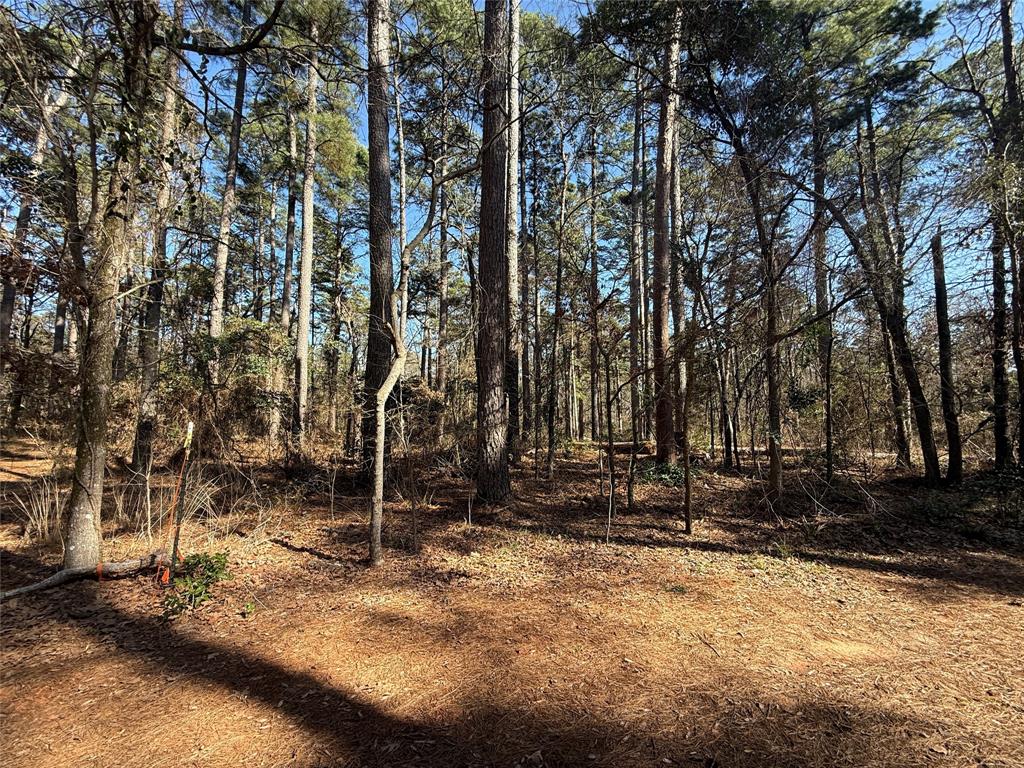 Lot 3 Private Road 8573 - Photo 2