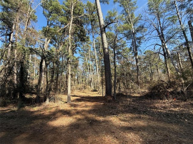 Lot 2 Private Road 8573