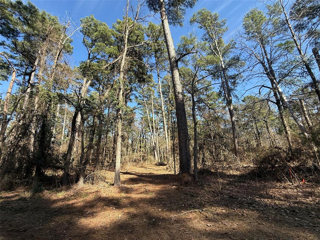 Lot 2 Private Road 8573 - Photo 2