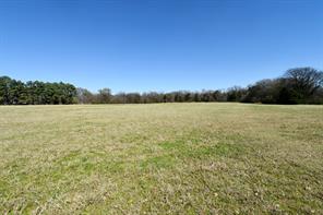 16.27 Acres FM 2946 - Photo 19