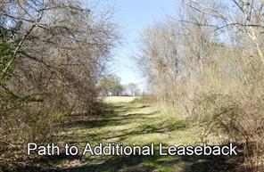 16.27 Acres FM 2946 - Photo 27