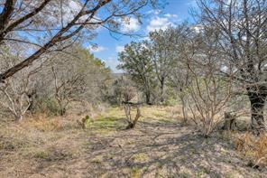 103 Palmie Lane - Photo 11