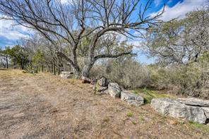 103 Palmie Lane - Photo 7