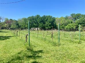 110 County Road 4270 - Photo 3