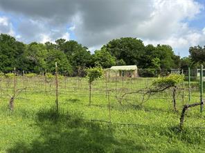110 County Road 4270 - Photo 9