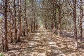 1393 County Road 2250 - Photo 2