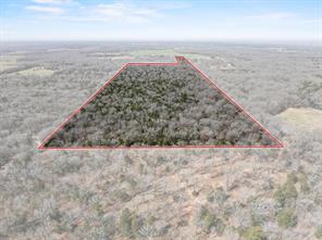 1393 County Road 2250 - Photo 35
