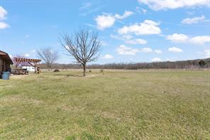 1133 County Road 426 - Photo 14