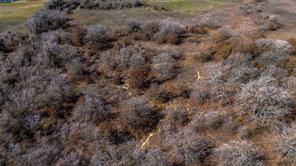TBD Salt Creek Road - Photo 17