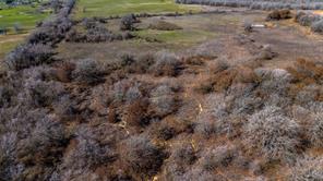 TBD Salt Creek Road - Photo 18