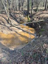 TBD Billy Ray Rd - Photo 2