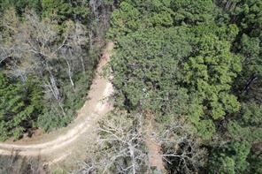 TBD Billy Ray Rd - Photo 3
