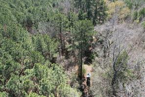 TBD Billy Ray Rd - Photo 4