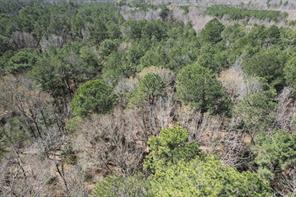 TBD Billy Ray Rd - Photo 7