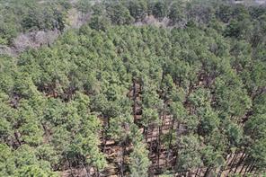 TBD Billy Ray Rd - Photo 8