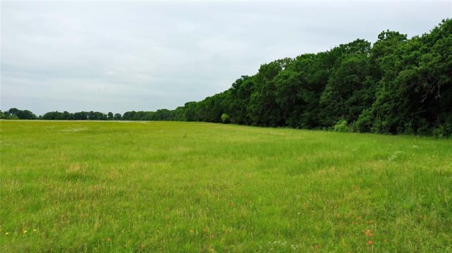 TBD County Road 1242
