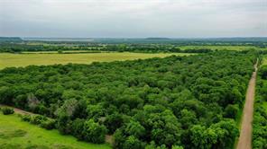 TBD County Road 1242 - Photo 2
