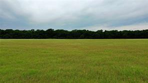 TBD County Road 1242 - Photo 4