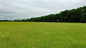 TBD County Road 1242 - Photo 5