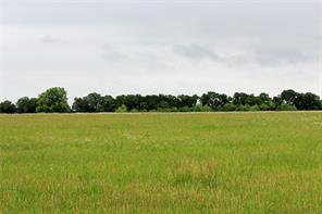 TBD County Road 1242 - Photo 8