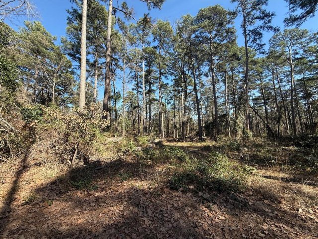 Lot 4 Private Road 8573