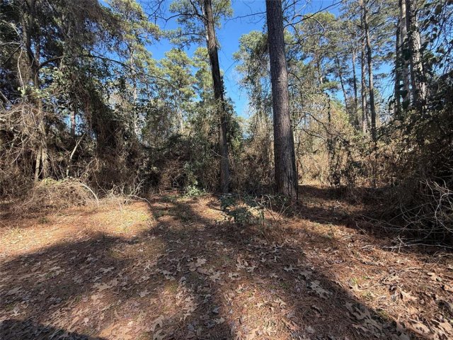Lot 5 Private Road 8573