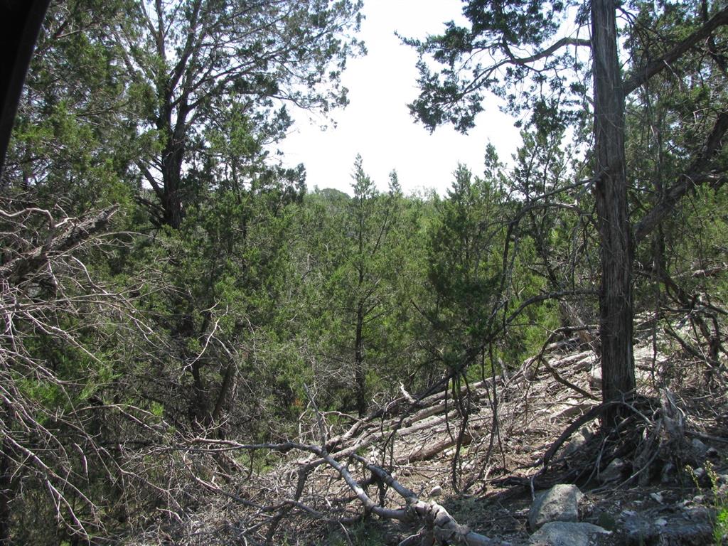Lot 11 Ph 5 Private Road - Photo 1