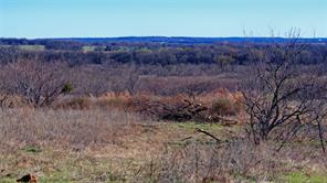 0 W Hwy 82 - Photo 5