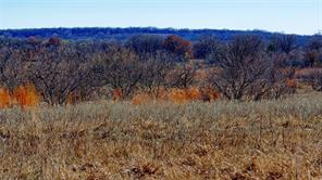 0 W Hwy 82 - Photo 6