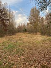 160 Zigler Road - Photo 13