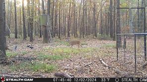 160 Zigler Road - Photo 9
