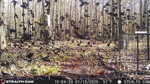 160 Zigler Road - Photo 7