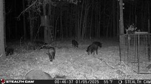 160 Zigler Road - Photo 8