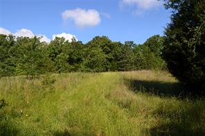 760 VZ County Road - Photo 10