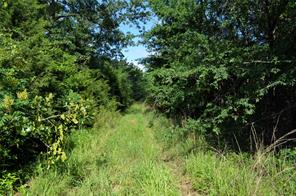 760 VZ County Road - Photo 11