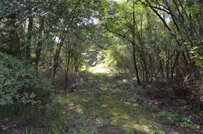 760 VZ County Road - Photo 14