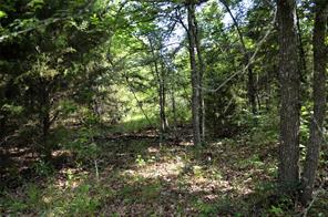 760 VZ County Road - Photo 15