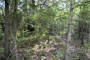 760 VZ County Road - Photo 18