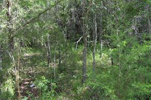 760 VZ County Road - Photo 19