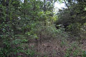 760 VZ County Road - Photo 3