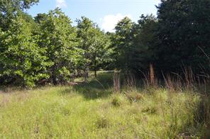 760 VZ County Road - Photo 4
