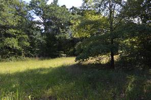 760 VZ County Road - Photo 8