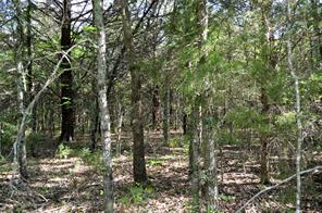 760 VZ County Road - Photo 9