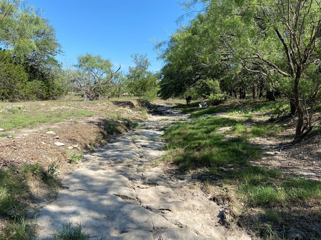 TBD F.M. 3023 Highway S - Photo 1