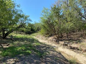 TBD F.M. 3023 Highway S - Photo 4