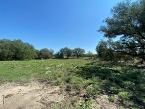 TBD F.M. 3023 Highway S - Photo 6