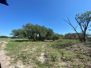 TBD F.M. 3023 Highway S - Photo 8