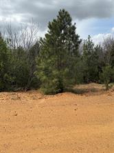 3552 FM 3136 LOT 3 - Photo 2