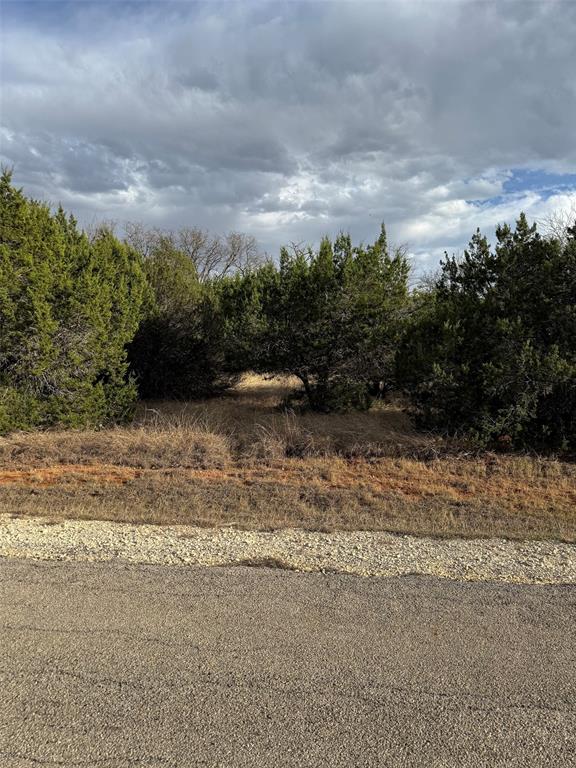 32039 Dove Trail - Photo 1