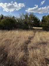 32039 Dove Trail - Photo 10
